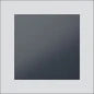 SIEDLE 210004914-00 Functiemodule deurcommunicatie 99 mm