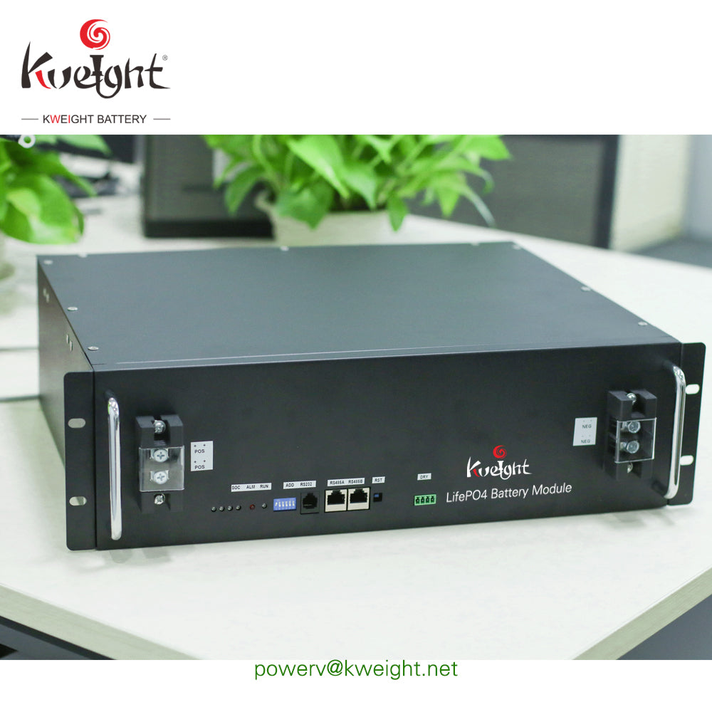 48V100AH Lithium Battery Module PVE48100 - Art. 19760