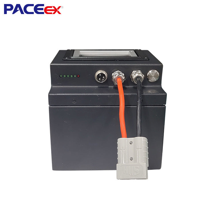Shenzhen Pace Intelligent Control Technology Co., Ltd. - Speicher - 48V 20Ah LiFePO4 Battery Pack 15S20Ah-PC01-A - Art. 21340