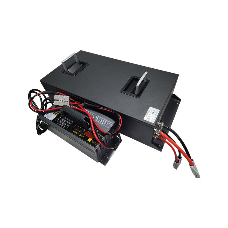 Shenzhen Pace Intelligent Control Technology Co., Ltd. - Speicher - 48V 50Ah LiFePO4 Replacement Battery Pack 15S100Ah-PC03-A - Art. 21292