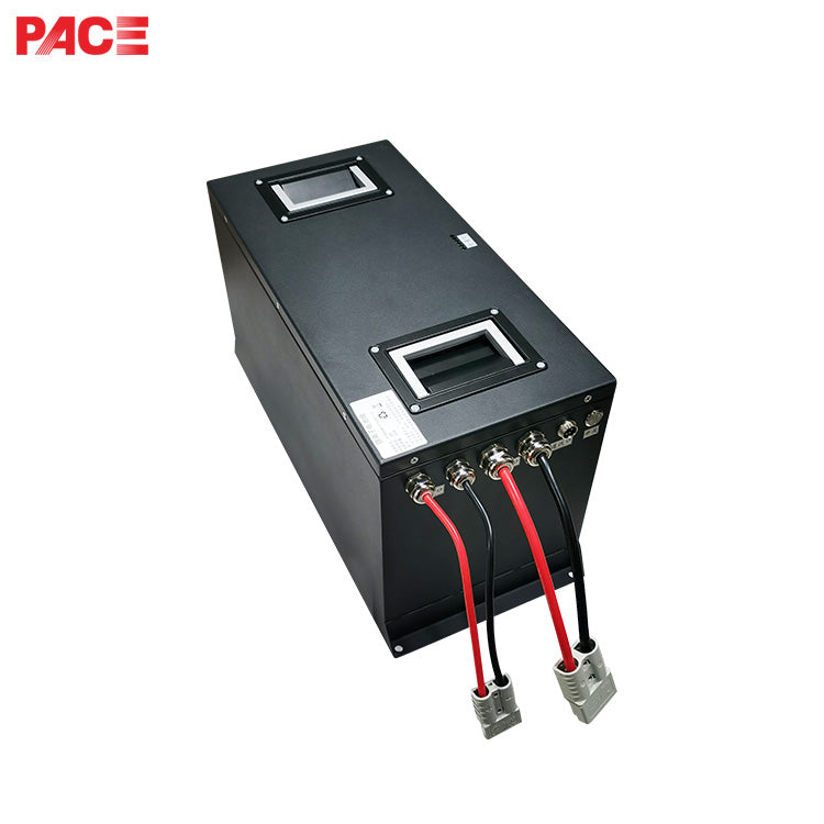 Shenzhen Pace Intelligent Control Technology Co., Ltd. - Speicher - 48V 50Ah Lithium Battery Pack 15S50Ah-PC01-A - Art. 21289