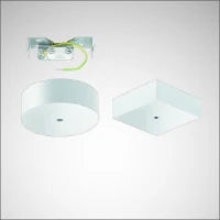 TRILUX 6825451 Pendelarmatuur 1200 mm