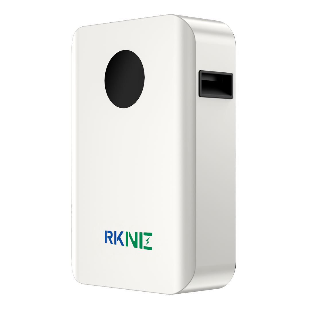 51.2V Wall-Mounted Residential Energy Storage B... RK51100LFP一WM - Art. 35016