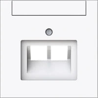 ABB BUSCH-JAEGER 2CKA000230A0235 Datacom-Dose (Twisted Pair)