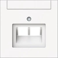 ABB BUSCH-JAEGER 2CKA000230A0411 Datacom-Dose (Twisted Pair)