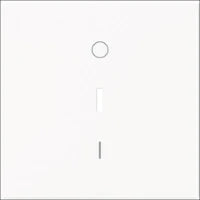 ABB BUSCH-JAEGER 2CKA001022A0656 Installationsschalter