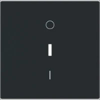 ABB BUSCH-JAEGER 2CKA001022A0656 Installationsschalter