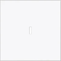 ABB BUSCH-JAEGER 2CKA001022A0656 Installationsschalter