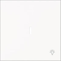 ABB BUSCH-JAEGER 2CKA001022A0656 Installationsschalter