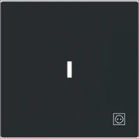 ABB BUSCH-JAEGER 2CKA001022A0660 Installationsschalter