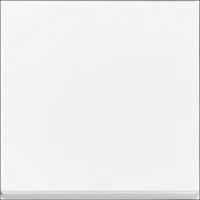 ABB BUSCH-JAEGER 2CKA001754A4421 Abdeckrahmen Schalterprogramm 11 mm