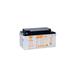 Yuasa SWL+1950 Industrielle VRLA-Batterie - 12V / 74Ah (High Rate Plus)