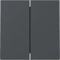 GIRA 029528 Bedienelement / Zentralplatte Schalterprogramm