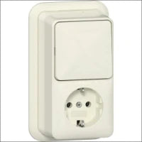 GIRA 017610 Schakelaar/Steckdose combinatie