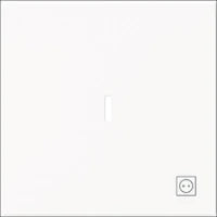 ABB BUSCH-JAEGER 2CKA001022A0660 Installationsschalter