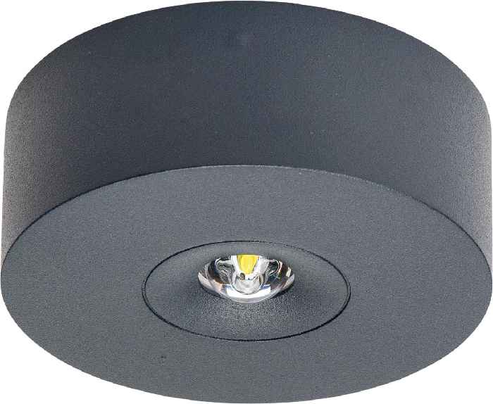 Hertek HDW254L Sicherheitsleuchte mit Funküberwachung