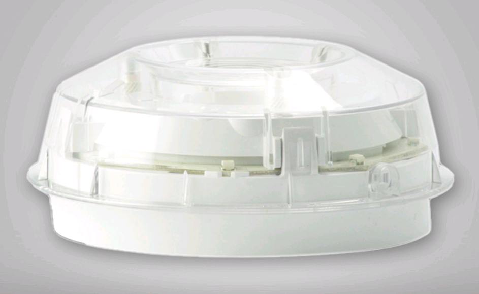 HONEYWELL Life Safety (Morley-IAS) MI-WST-PC-I Wall Flash Transparent mit ISO