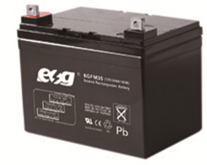 Guangzhou ESG New Energy Technology Co., Ltd. - Speicher - 6GFM65 6GFM65 - Art. 4079