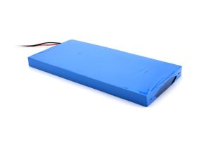 6.4V 12AH LiFePO4 Battery 6,4V 12AH LiFePO4 Battery - Art. 20092