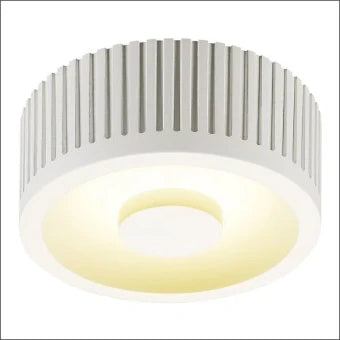 SLV 117351 Decken-/Wandleuchte 55 mm