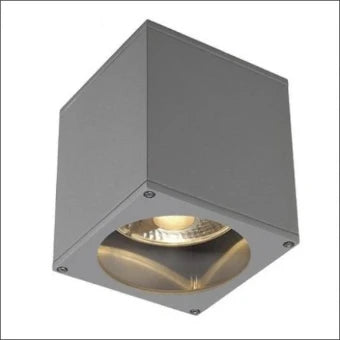 SLV 229554 BIG THEO QPAR111 CL grey IP44