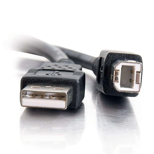 C2G 81568