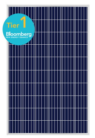 ABi-Solar Inc - Solarmodul - AB-60P 270-290 AB275-60P - Art. 107557