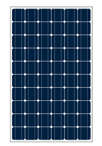 ARM Solar - Solarmodul - ARMM6-60P-300 ARMM6-60P-300 - Art. 238687