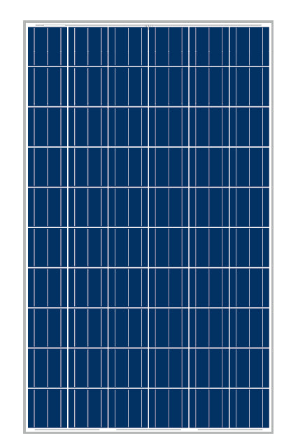 ARM Solar - Solarmodul - ARMP6-60P-255 ARMP6-60P-255 - Art. 238700