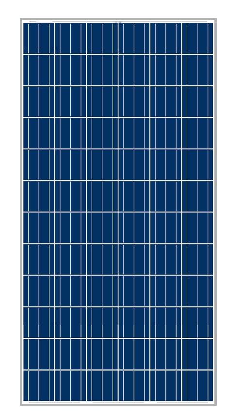 ARM Solar - Solarmodul - ARMP6-72P-300 ARMP6-72P-300 - Art. 238703