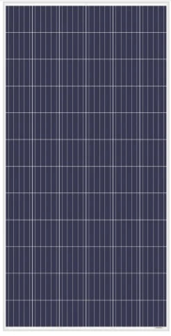 Amerisolar EU - Solarmodul - AS-6P-325W~355W 325 - Art. 148172