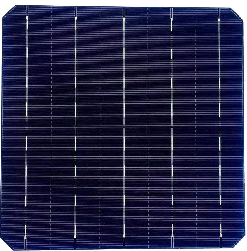 Allesun - Zellen - AV-156.75M 5,20 - Art. 16404
