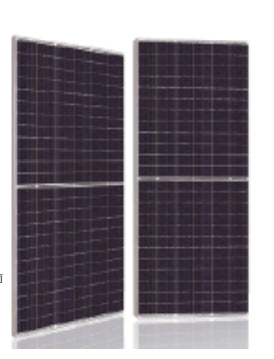 Sun Pacific Power Corp. - Solarmodul - AfMc Series 530-550W SPP-AfMc545MHT - Art. 225906