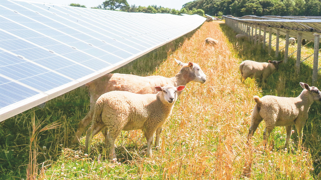 Agricultral Solar Mounting System GASMS-GS - Art. 4752