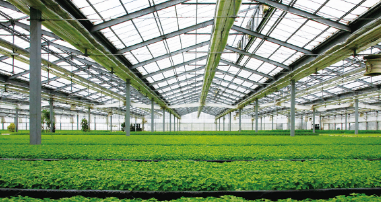 Agricultural Photovoltaic System Agricultural Photovoltaic System - Art. 5879