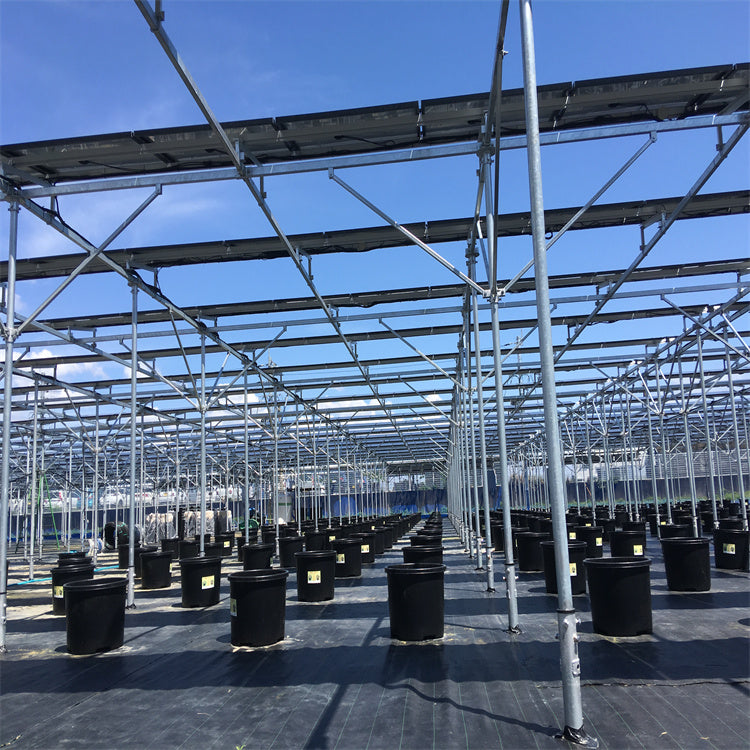 Xiamen Empery Solar Technology Co., Ltd. - Montagesysteme - Agriculture Solar Farmland Mounting System Agriculture Solar Farmland Mounting System - Art. 8263