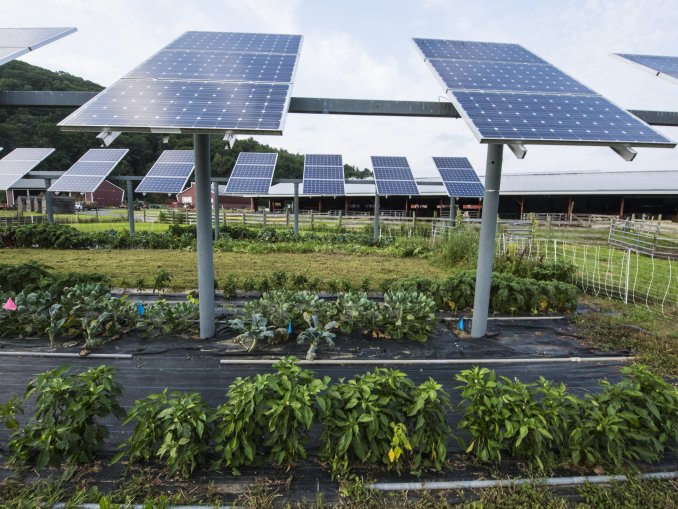 Agriculture Solar Plant SIC-ASP - Art. 8262