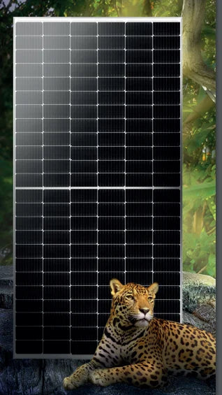 Sengi Solar - Solarmodul - Amazônia SV1S72 540-555W SV1S72-545 - Art. 195029