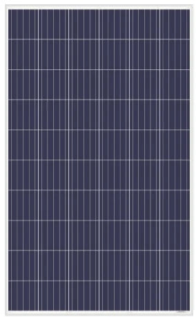 Amerisolar EU - Solarmodul - AS-6P30-270W~300W 300 - Art. 148164