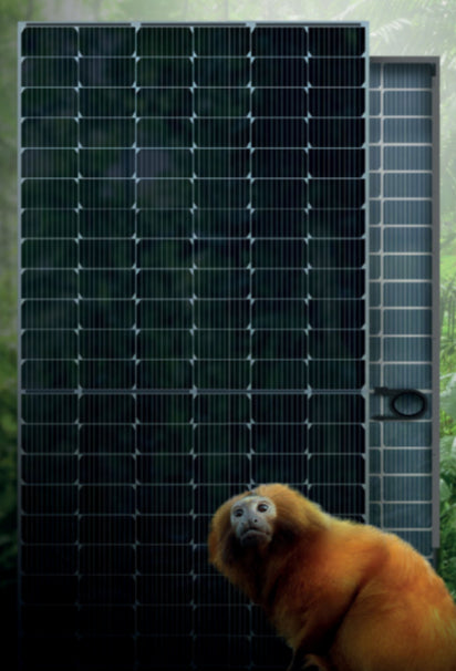 Sengi Solar - Solarmodul - Atlantica SV1B72 535-550W SV1B72 550W - Art. 219489