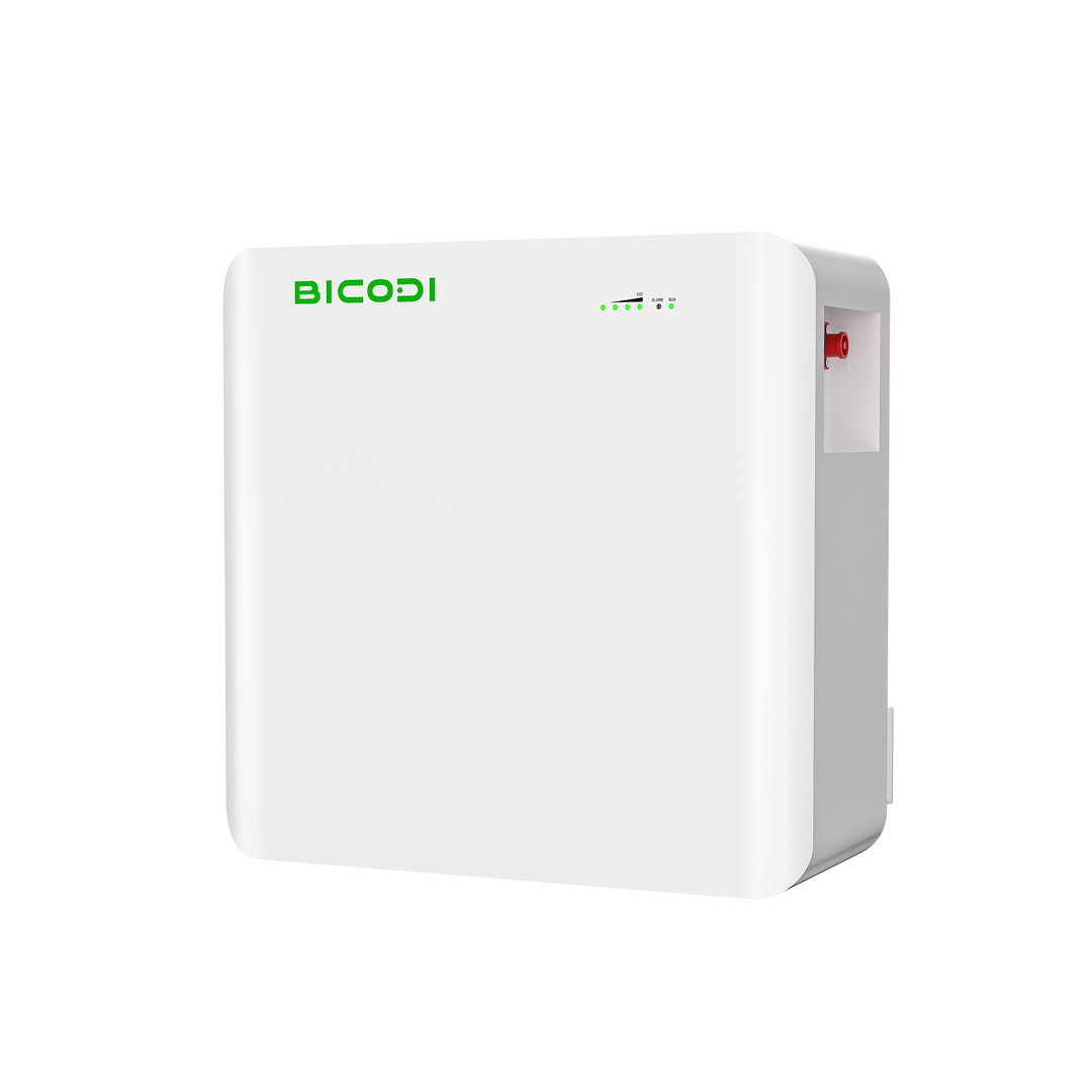 Shenzhen Bicodi New Energy Co., Ltd. - Speicher - BD024100P025 BD024100P025 - Art. 33509
