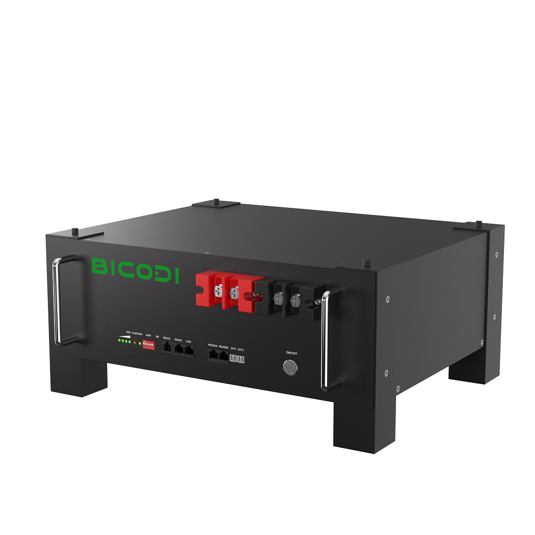 Shenzhen Bicodi New Energy Co., Ltd. - Speicher - BD024100R05 BD024100R05 - Art. 33519