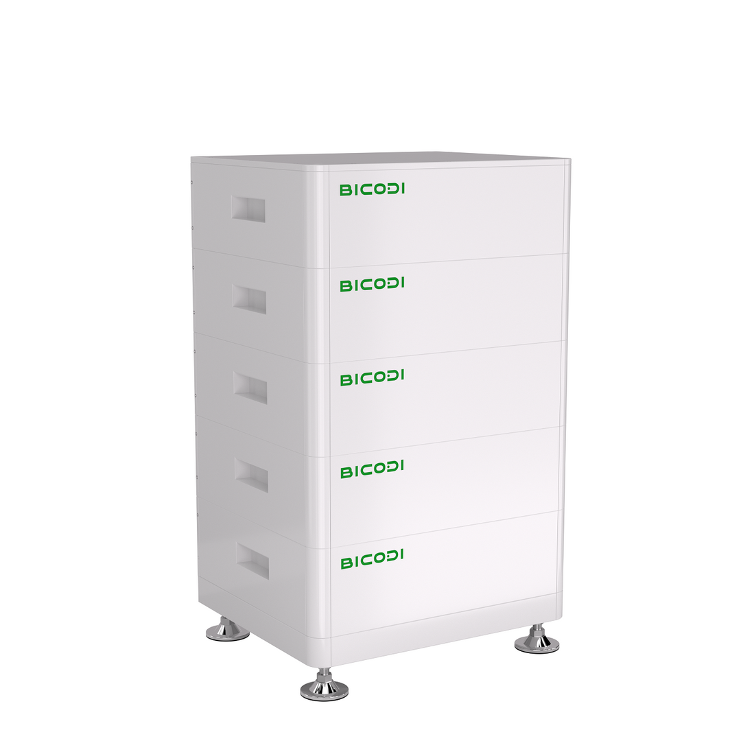 Shenzhen Bicodi New Energy Co., Ltd. - Speicher - BD048100L05 BD048100L05 - Art. 33517