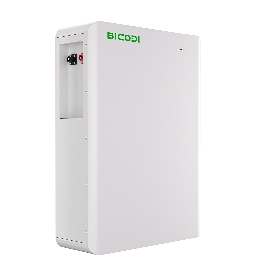 Shenzhen Bicodi New Energy Co., Ltd. - Speicher - BD048100P05 BD048100P05 - Art. 33511