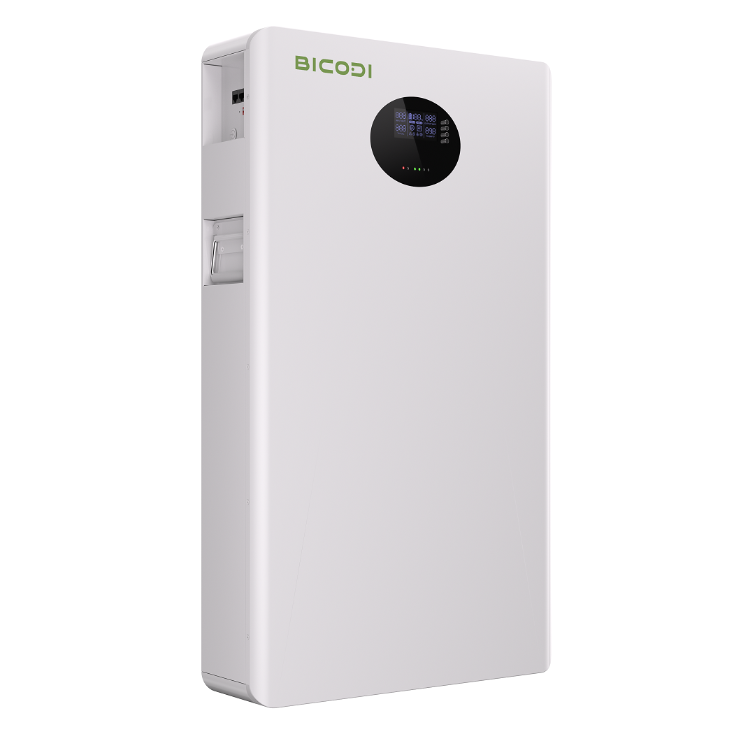 Shenzhen Bicodi New Energy Co., Ltd. - Speicher - BD048200P10 BD048200P10 - Art. 33515