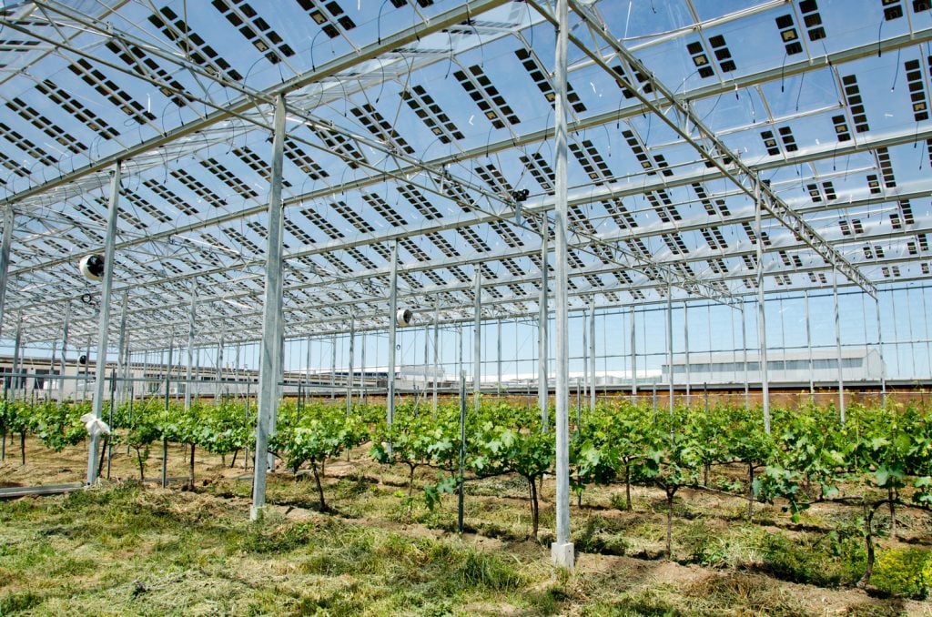 Brite Hellas S.A. - Solarmodul - BSG-250/49 250W - Art. 192410