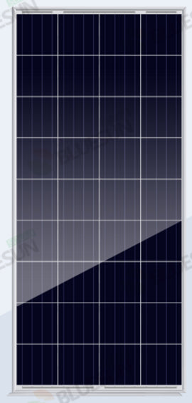 Bluesun Solar Energy Tech. Co., Ltd. - Solarmodul - BSM150-170P-36 BSM165P-36 - Art. 100060