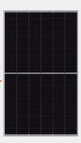 Bluesun Solar Energy Tech. Co., Ltd. - Solarmodul - BSM330-350M-60OPH BSM330M-60OPH - Art. 162992