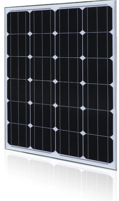 ZheJiang Bowei Energy Technology Co.,Ltd - Solarmodul - BW-SM100-110M24 BW-SM110M - Art. 55771