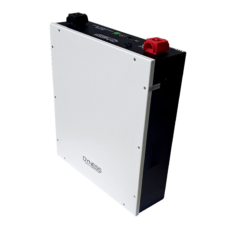 Batterie Dyness A48100 (LiFePo4 48V 100Ah 4.8 kWh)